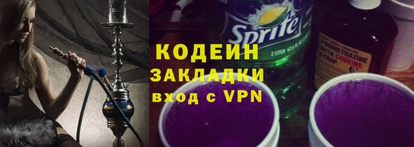 индика Баксан