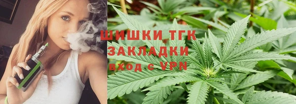 индика Баксан