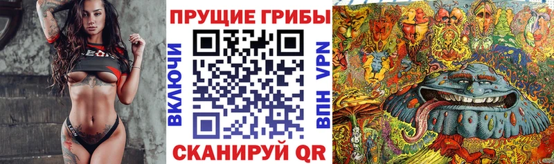 даркнет сайт Тихорецк площадка состав Галлюциногенные грибы GOLDEN TEACHER
